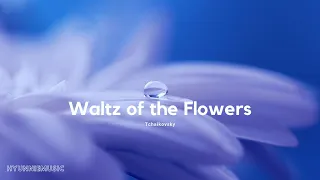 Waltz of the Flowers(best original version) - Tchaikovsky -Music for studying, relaxing, and working