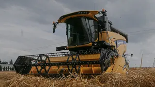 Żniwa 2023! GRN Kiryczuk. New Holland CX 5.80 & John Deere 7530 Premium Jęczmień ozimy. Lubelskie.