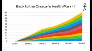 Back to the Creator's Health Plan 1 - Erin Brake