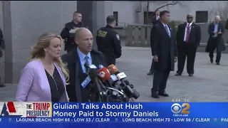 Trump Denies Paying Stormy Daniels With Campaign Funds