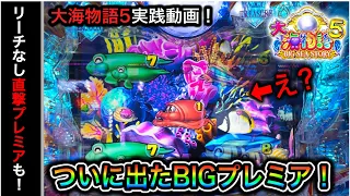 【491日目】新台P大海物語5！BIG珊瑚礁プレミアムが出た！勝ち逃げされてる台は勝てるのか？（ガチ実践動画2023/2/8）