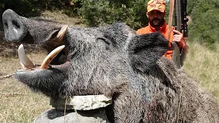 YABAN DOMUZU AVI -YOZGAT,  INDESTRUCTIBLE BOAR, WILD BOAR HUNTING, HOG HUNTS, PIG HUNTER, WILD LIFE