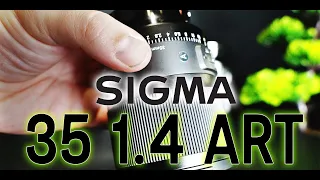 Best 35mm for Sony ? Sigma 35mm 1.4 DG DN ART Review (English sub)