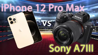 iPhone 12 Pro Max vs $6000 Sony A7III + 24/1.4 & 55/1.8 Video Quality Comparison