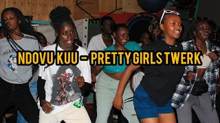 NDOVU KUU - PRETTY GIRLS TWERK (OFFICIAL DANCE VIDEO) MERU DANCE FAMILY