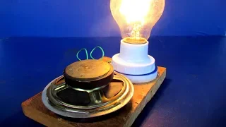 Light bulbs 220 Volts Free energy generator Using Magnets - Science project at home