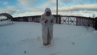 Метод Хартманна в пчеловодстве