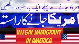 USA Donkey Update 2020 | USA Ki Donkey Information In Urdu & Hindi -- illegal immigrant in America.