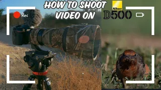 Shooting Video On The Nikon D500: Tips And Tricks