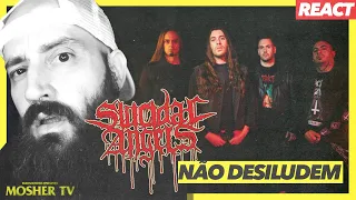 suicidal angels soam a suicidal angels (e isso é ótimo) [react a "when the lions die"