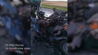 Видео с места ДТП в Алтайском крае, где погибли пять человек