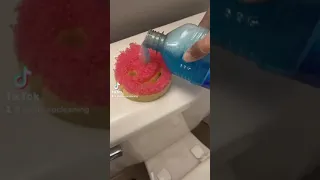 Toilet sponge scrub