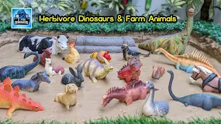 Farm Animals and Herbivorous Dinosaurs in a Muddy Adventure! | Fun Learning for Kids