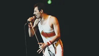 'Incredible' auction sees Freddie Mercury's items go under the hammer