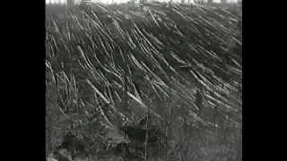 Тунгусский метеорит (1966)