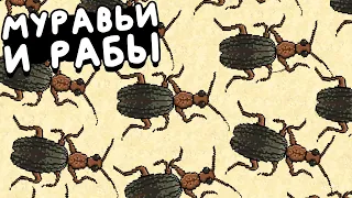 МУРАВЬИ НАБИРАЮТ РАБОВ ▶ Pocket Ants: Симулятор Колонии Прохождение | Обзор