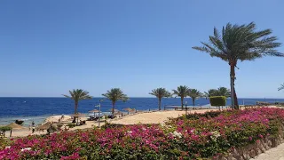 Renaissance Golden Beach View Resort - Sharm El Sheikh, Egypt