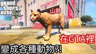 【Kim阿金】在GTA5裡變成各種動物 會發生什麼趣事?!《GTA 5 Mods》