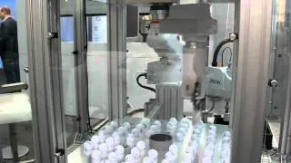 Very fast Epson Scara robot sort Golf balls