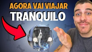 Como Fazer o Seu Cachorro Gostar da Caixa de Transporte