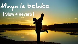 Maya Le Boleko Boli Mitho Vo lofi song [slow + reverb ]