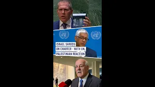 How Palestine, UN reacted when Israel shredded the UN charter
