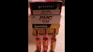 243 win Factory Ammo testing With a Ruger M77 Mark II