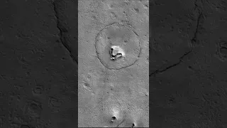 Bear Lookalike Face on Mars