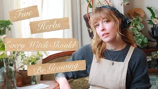 The Five Kitchen Herbs Every Witch Should Be Growing and Why