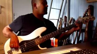 Tom Jones / the Cardigans (burning down the house ) / bass cover