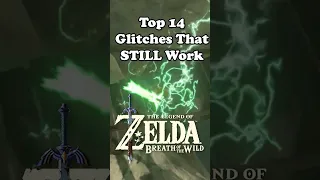 Top 14 Favorite Glitches That Still Work in 2024 for Zelda Breath of The Wild