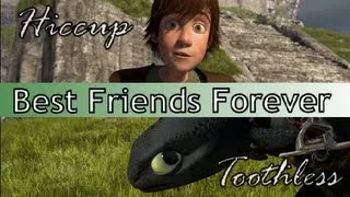 HTTYD - Hiccup & Toothless: Best Friends Forever