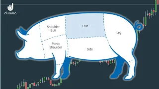 How a Deadly Pig Virus Doubled the Price of Bacon