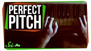 Can You Learn Perfect Pitch?