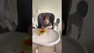 Первый прикорм - пробуем морковь 🥕 baby eat carrot