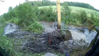 Beavers blocked the road to the dam