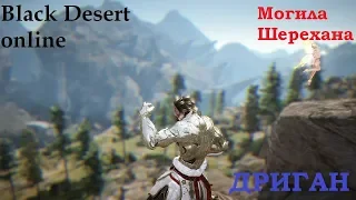 BLACK DESERT - Могила Шерехана / ДРИГАН [BDO]