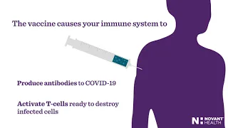 COVID-19 Vaccination 101. Top Questions Answered. Stop The Spread. Start The Healing.