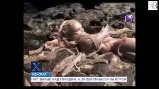 В Мексике нашли мертвую русалку Х версии Другие новости