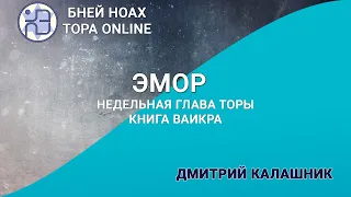 Недельная глава Торы - Парашат а-шавуа -  "ЭМОР" 5784/2024. Дмитрий Калашник