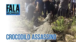 Namaacha: Abatido crocodilo que atacou e matou menino de 14 anos em Impaputo @PortalFM24