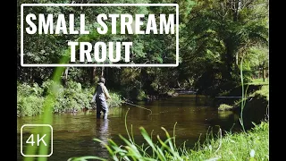 Flyfishing Small Streams for Trout | 4K UHD | Victoria, Australia
