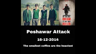 A Tribute to APS Martyrs (Peshawar Attack)