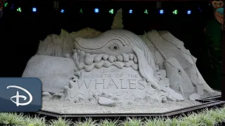 Making of 'Secrets of the Whales' Sand Sculpture Time-Lapse | Disney's Animal Kingdom