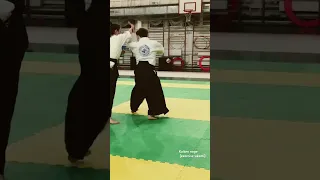 Kaiten nage