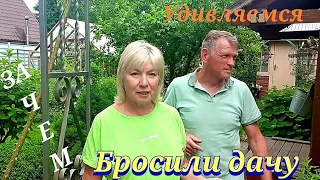 ДАЧА.Давно не были,а тут🤩Сами в шоке.Как мы могли УЕХАТЬ в  заморозки.Что выросло в теплице и саду.