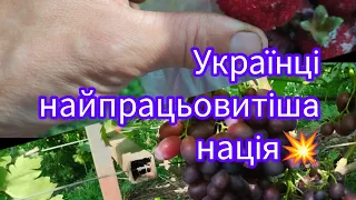 "Залипальна"поїздка до підписників💥Що я звідти привезу і покажу👌Шана трудолюбивим рукам українців♥️