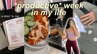 typical work week as a content creator 🎥📝 LOTS of adulting, fav easy recipes, so much happening 😅