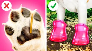 TRUCURI PENTRU ANIMALELE DE COMPANIE || Jucării DIY și gadgeturi utile, marca 123 GO! TRENDS