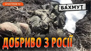 Під Бахмутом лежить 30 тисяч перемеленого російського м'яса // Мартиненко